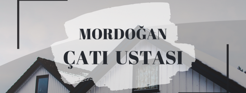 MORDOĞAN ÇATI USTASI, ÇATI USTASI MORDOĞAN, ÇATI AKTARMA MORDOĞAN, ÇATI ONARIMI MORDOĞAN, ÇATI ONARIMI FİYATI MORDOĞAN, MORDOĞAN ÇATI FİYATLARI, MORDOĞAN ÇATI ONARIMI, ÇATI AKTARMA FİYATLARI MORDOĞAN, MORDOĞAN KİREMİT ÇATI TAMİRİ, KİREMİT ÇATI TAMİRİ MORDOĞAN, MORDOĞAN KİREMİT ÇATI, KİREMİT ÇATI MORDOĞAN, ÇATI TADİLATI MORDOĞAN, MORDOĞAN ÇATI TADİLATI, PROFESYONEL ÇATI TAMİRİ MORDOĞAN, MORDOĞAN PROFESYONEL ÇATI TADİLATI, MORDOĞAN PROFESYONEL ÇATI TAMİRİ, PROFESYONEL ÇATI TADİLATI MORDOĞAN
